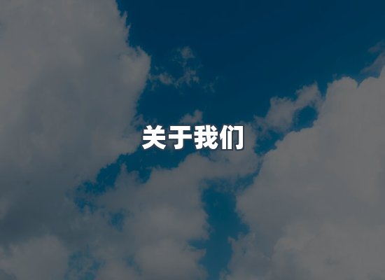 专业团队